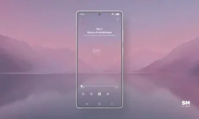 Galaxy S25 February 2025 patch